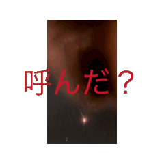 sugar_20250814162942