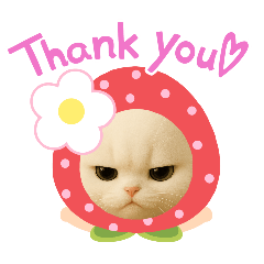 喵喵喵喵喵二！！！