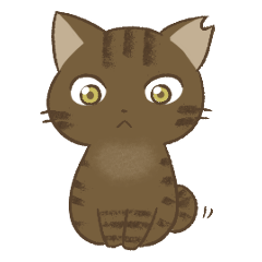 わが家ののにゃんず