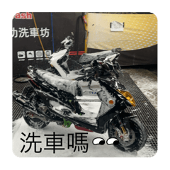 承叡 跟 魚 專用