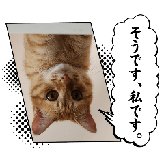 kinaazu_20250814132346