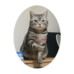 hinata_20250814133200