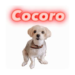 AYUMI_20250814153105