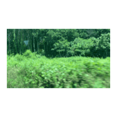 sara_20250814220210