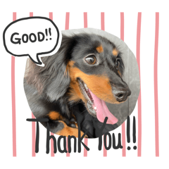 Daisy_20250815011042