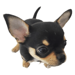 chloe_20250814155100