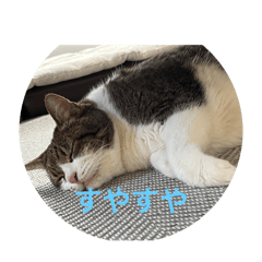 yumi_20250814161816