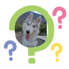 akarinrin_20250815115805