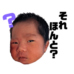 yuzuki_20250815115223