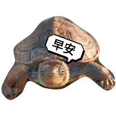 The Life of Little Sweetie