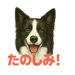 takeshi_20250814174653