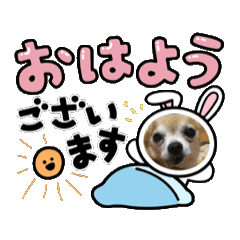 nao_nao0320