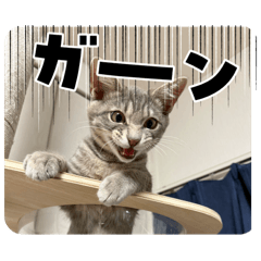 yuka_20250814200048