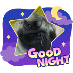 233884848_20250814172529