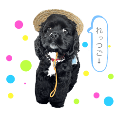 natsumi_20250814221519