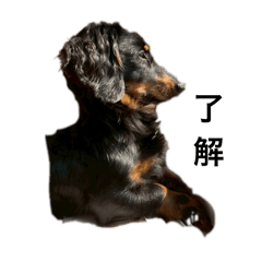 oyatsu_20250814221927