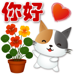 可愛花貓⭐開心實用