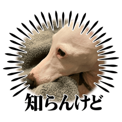 MINTO_20250813144500