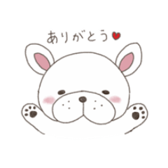 French Bulldog Popi-chan