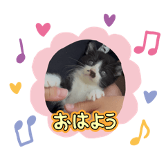 KANA_20250814231444