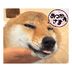 ai_20250815234034