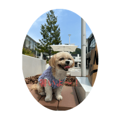 Daichi_20250815071257