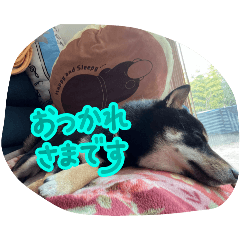 TAKUMI_20250815074059