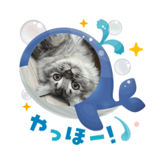leopui_20250815171253