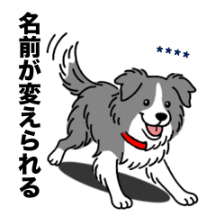 名前入りボーダーコリーブルー