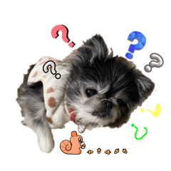 pretty Popo chan