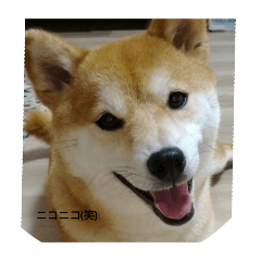 Rei_20250815103015