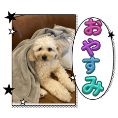 Mirei_20250815135221