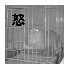 Kanae_20250815212455