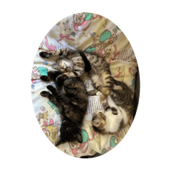 takeru_20250815174143