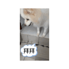 0816動態
