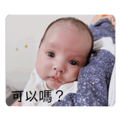 福寶來報到