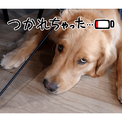 yuka_20250815165816