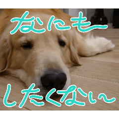 yuka_20250815170155