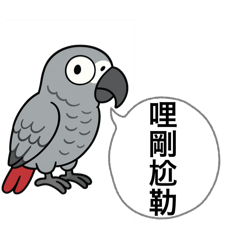 哇洗李小樂_哇共歹意威