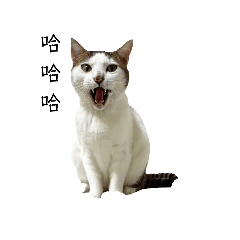 芝麻的多重宇宙1