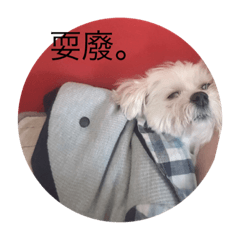 我媽媽家