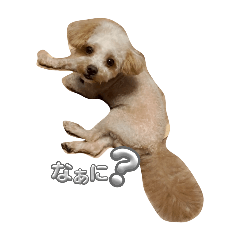 hinata_20250815223752