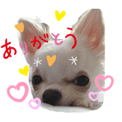 タイトルてきとう修正ばっかり