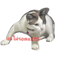 jimmy_20250816033212