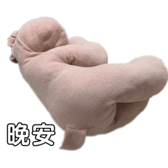 Bao Bao is a dog 3.0