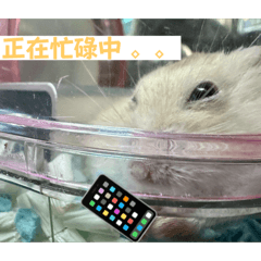 臭臭大胖子2