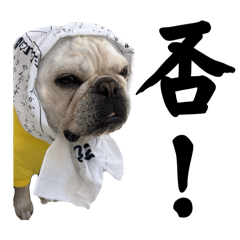 Vivian_20250814184255