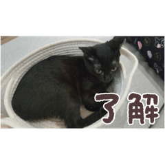 yurina_20250816142910