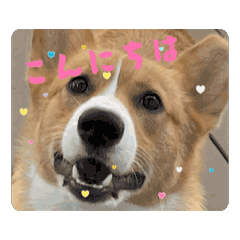 nanami_20250816192147