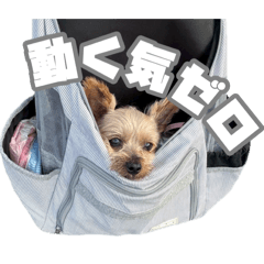 Expressive Hana-chan stamps